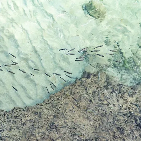 La Naval Apartment *