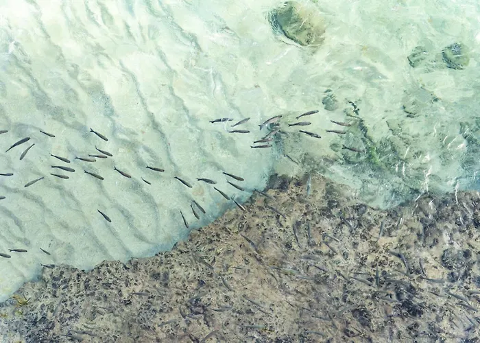 La Naval Διαμέρισμα *